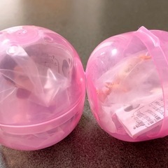 肩ズン　美女と野獣の画像
