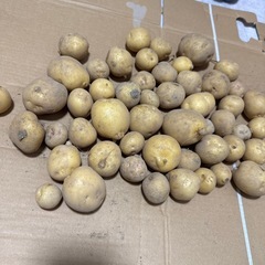 じゃがいも② 小さめ 野菜