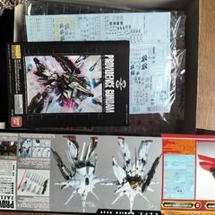 MG プロビデンスガンダム 限定版
