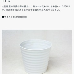 植木鉢　11号
