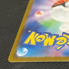 特価 ネリネ SARの画像