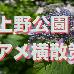 【5/31午後】上野公園”霧雨ウオーク”＋縁結びの花園稲荷神社（...
