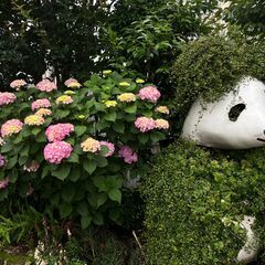【5/31午後】上野公園”霧雨ウオーク”＋縁結びの花園稲荷神社（＋アメ横） - メンバー募集