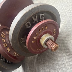 ダンベル　2個　鉄アレイの画像