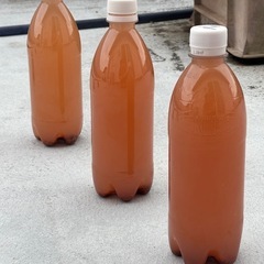 (受け渡し者決定)PSB 500ml ⑥