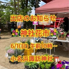 6/1神社花市