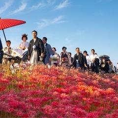石川県のパレードやお練りに人力車を出張レンタルいたします！【石川県内出張費無料】 - その他