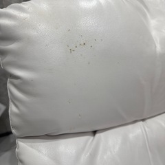 エステ施術ベッドの画像