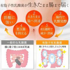 YONEKICHI 葉緑王 青汁 90g (30包) 2箱セットの画像