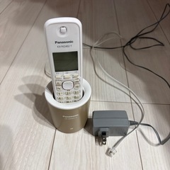 Panasonic コードレス電話機 品番 VE-GDSO1DL