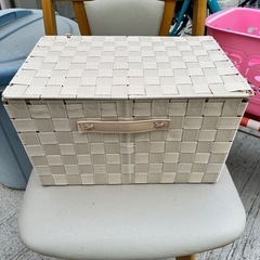 多分ダイソーの500円か300円の入れ物