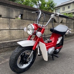 シャリー　ダックス　ゴリラ　カブ　エイプ　モンキー　cf50 4ミニ