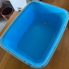 大型水槽