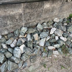 栗石　ロックガーデン　ガーデニング　庭の画像