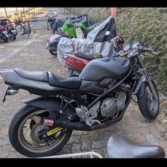 バンディット250
