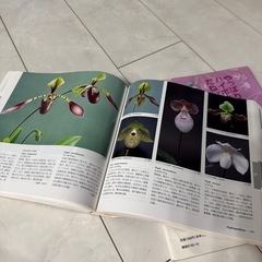 ランの本の画像