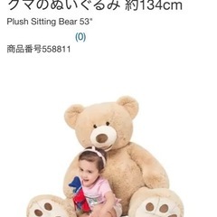 コストコ　くま ぬいぐるみ の画像
