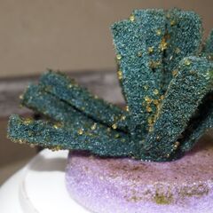 メダカ　完売　ユリシス卵　６０個以上　産卵床付きの画像