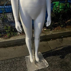  マネキン女性全身リアルボディ　トルソーの画像