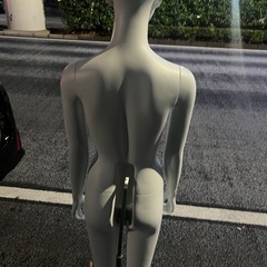  マネキン女性全身リアルボディ　トルソーの画像
