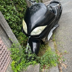 フォルツァ250 の画像