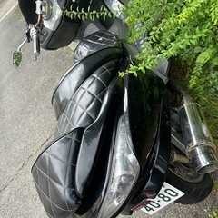 フォルツァ250 の画像