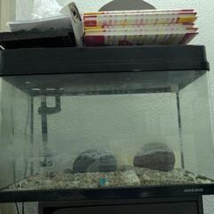 水槽60ｃｍ✕30cm