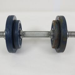 ダンベル 約10kg 1.25kgプレート×2枚 2.5kgプレ...