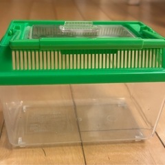 メダカ　飼育セット①の画像