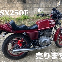 GSX250E ザリ