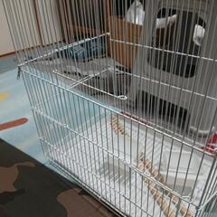 新品未使用  鳥かご　インコ用ゲージ　の画像