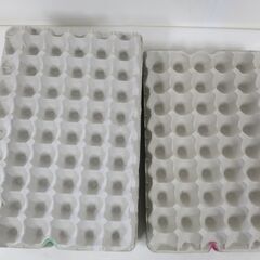 紙製 卵トレー 8×5列 9枚 ＆ 9×5列 24枚 まとめて33枚セット 昆虫飼育用 ミルワーム コオロギ飼育の画像