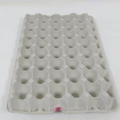紙製 卵トレー 8×5列 9枚 ＆ 9×5列 24枚 まとめて33枚セット 昆虫飼育用 ミルワーム コオロギ飼育の画像
