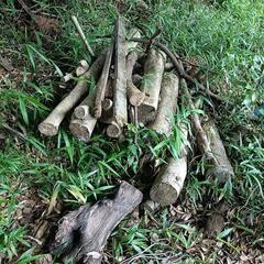薪にいかがでしょうか！の画像