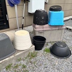 植木やお魚金魚鉢 いろいろ