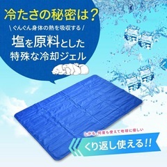 【定価約4,000円！2週間ほどの使用のみ】　塩ジェル　ソルトジェルパッド　スリーププラス　ひんやりマット　冷却マット　シートの画像