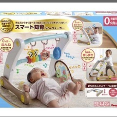 知育おもちゃ ジムウォーカー