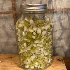 ドクダミチンキやお茶にいかがですか？の画像