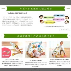 知育おもちゃ ジムウォーカーの画像