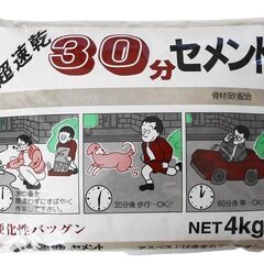 【DIY】超速乾30分セメント 44キロ（4キロ×11個）【コンクリ】