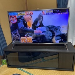 TVの画像
