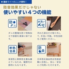 カーペットマット　静床ライトの画像