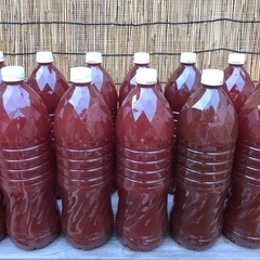 PSB   光合成細菌　2L 1本　　