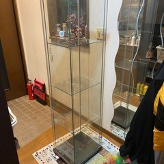 　コレクションケース、飾り棚