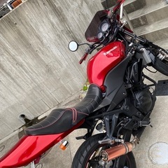 KAWASAKI NINJA250R ネイキッド