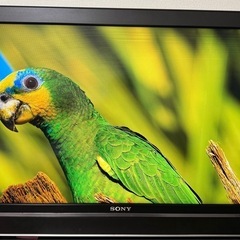 Sony Bravia 40V テレビ