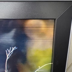 Sony Bravia 40V テレビの画像