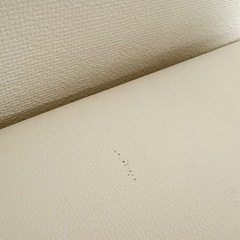 【美品】マッサージベッド 差し込み脚 有孔 ホワイト天板 スチールホワイト脚 長さ185×幅60×高さ55cm 整体 エステ 
の画像
