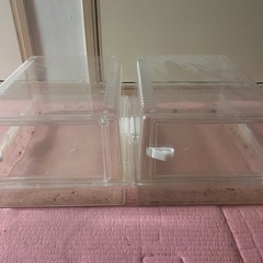 飼育ケージ レプティギア 大きい方 2つ