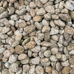 【ゴロタ石100個】1000円